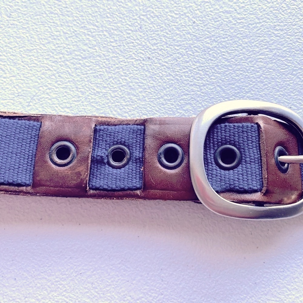 Stefano Corsini Blue Webbing Brown Leather Belt 34